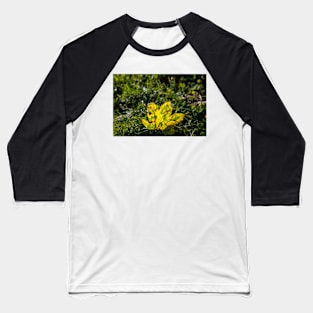 Autumn 2020 Baseball T-Shirt